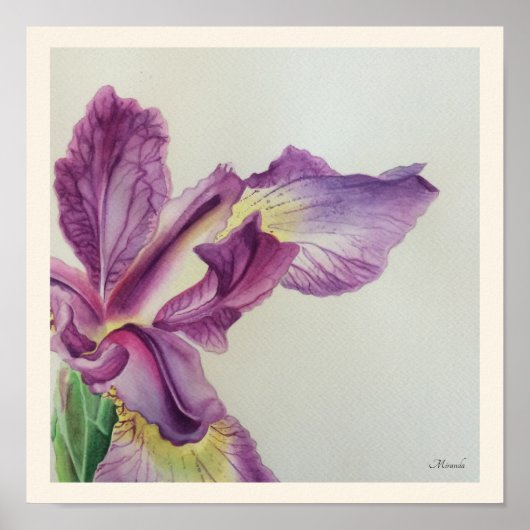 Iris Floral Art Print geschikt voor Miranda (Voorkant)