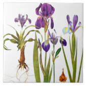Iris Floral Garden Botanical Flower Tile Tegeltje (Voorkant)