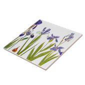 Iris Floral Garden Botanical Flower Tile Tegeltje (Zijkant)