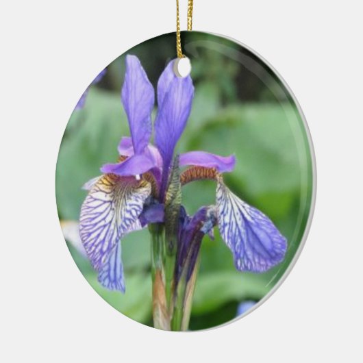 Iris Flower Ceramic Ornament (Links)