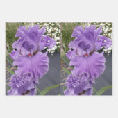 Iris Flower Flowers Purple Lavender Lilac Floral Inpakpapier Vel (Voorkant)