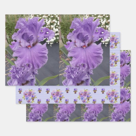 Iris Flower Flowers Purple Lavender Lilac Floral Inpakpapier Vel (Set)