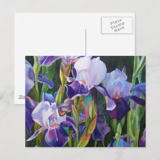 Iris Flower Garden Briefkaart (Voorkant / Achterkant)