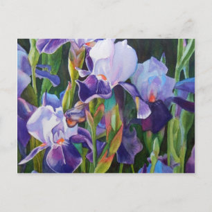 Iris Flower Garden Briefkaart