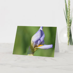 Iris Flower Kaart