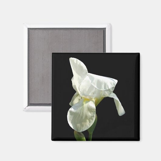Iris Flower Magnet (Voorkant / Achterkant)