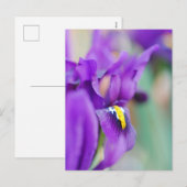 Iris Flower Magnet Feestdagenkaart (Voorkant / Achterkant)