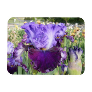 IRIS FLOWER MAGNET horizontaal Magneet