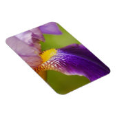 Iris Flower Magnet Magneet (Rechterzijde)