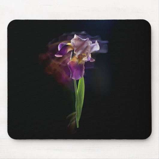 Iris flower on a black background. Long exposure. Muismat (Voorkant)