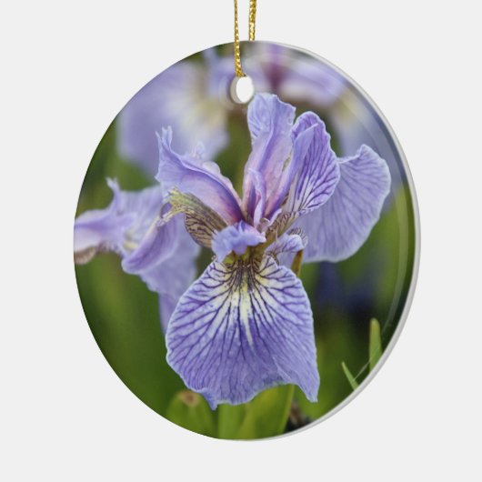 Iris Flower Ornament (Links)