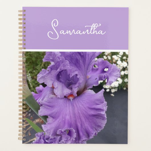 Iris Flower Paars Lavender Lila Schort Planner (Voorkant)