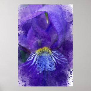 Iris Flower Paars Waterverf Poster