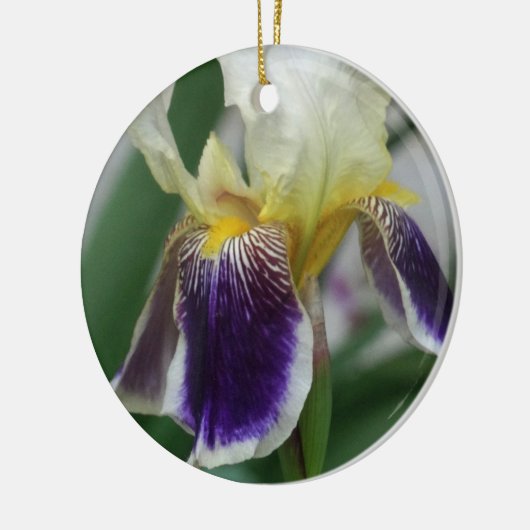 Iris Flower Photo Circle Ornament (Links)