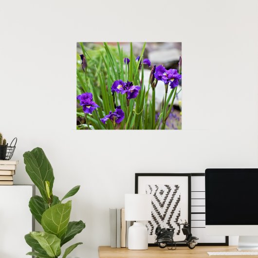 Iris Flower Photo Poster (Thuiskantoor)