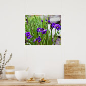 Iris Flower Photo Poster (Keuken)