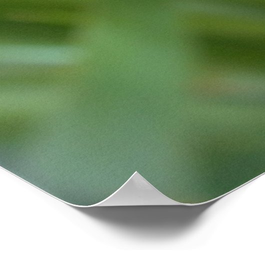 Iris Flower Photo Poster (Hoek)