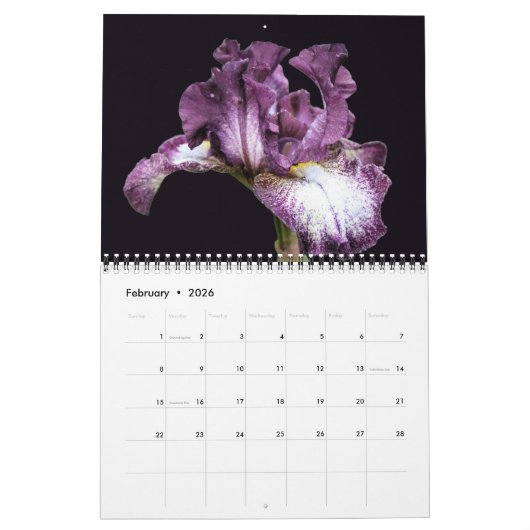 Iris Flower Photography Kalender (Feb 2026)