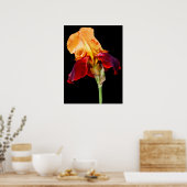 Iris Flower Poster (Keuken)