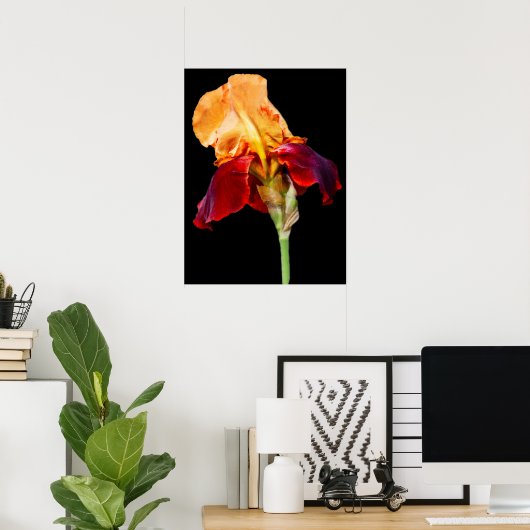 Iris Flower Poster (Thuiskantoor)