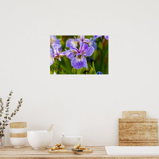 Iris Flower Poster (Keuken)