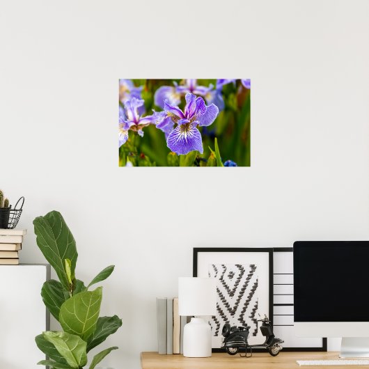 Iris Flower Poster (Thuiskantoor)