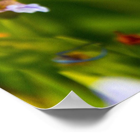 Iris Flower Poster (Hoek)