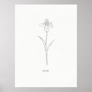 Iris Flower Print