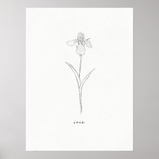 Iris Flower Print