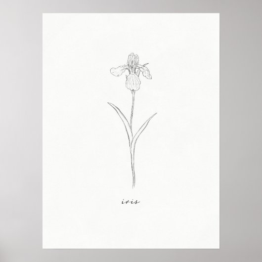 Iris Flower Print (Voorkant)
