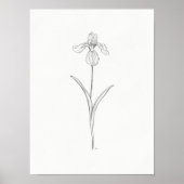 Iris Flower Sketch Print (Voorkant)
