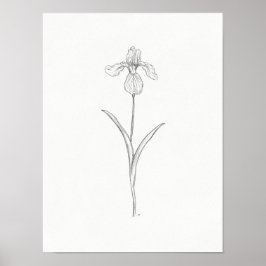 Iris Flower Sketch Print