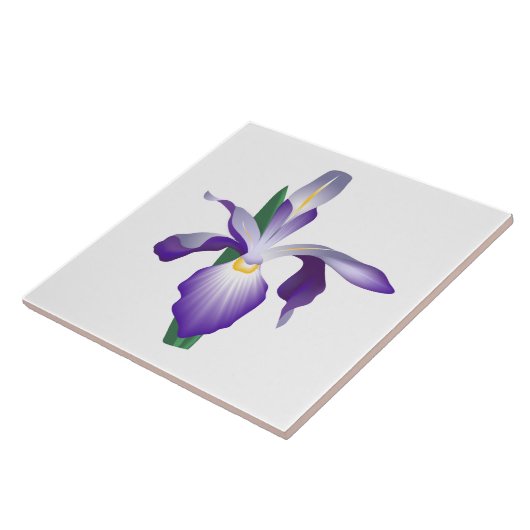 Iris Flower Tegeltje (Zijkant)