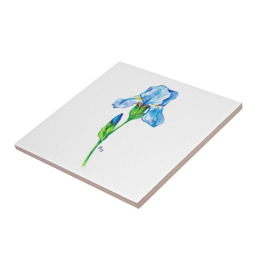 Iris flower tegeltje (Zijkant)