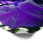 Iris Flower Voeg Jouw tekst gepersonaliseerd toe Poster (Hoek)