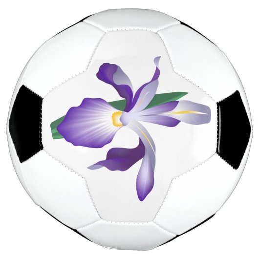 Iris Flower Voetbal (Gedraaid)
