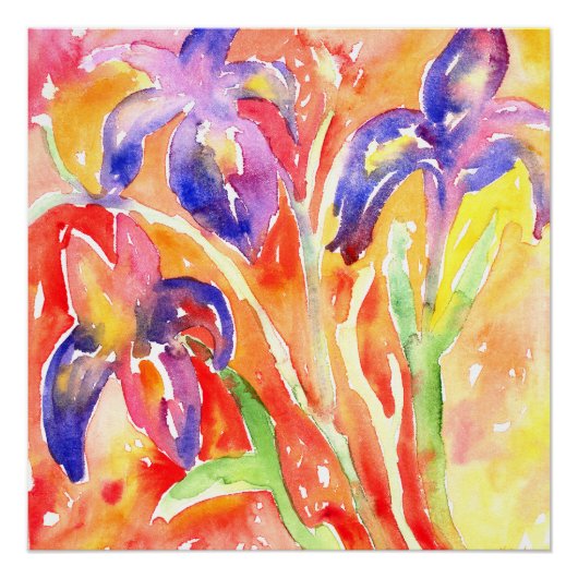 Iris Flower Waterverf schilderij Perfect Poster (Voorkant)