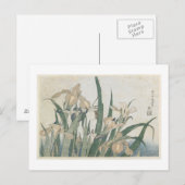 Iris Flowers and Grasshopper, c.1830-31 Briefkaart (Voorkant / Achterkant)