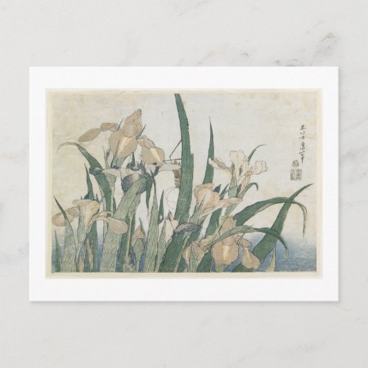 Iris Flowers and Grasshopper, c.1830-31 Briefkaart (Voorkant)