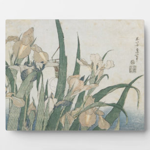 Iris Flowers and Grasshopper, c.1830-31 Fotoplaat