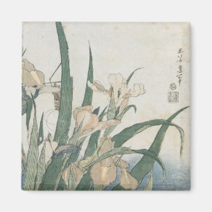 Iris Flowers and Grasshopper, c.1830-31 Magneet