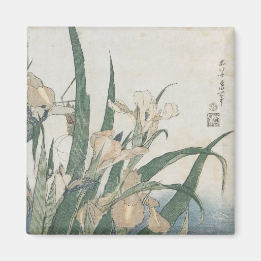 Iris Flowers and Grasshopper, c.1830-31 Magneet (Voorkant)