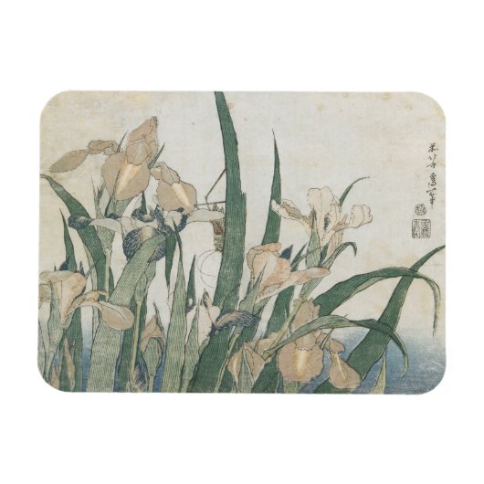 Iris Flowers and Grasshopper, c.1830-31 Magneet (Horizontaal)