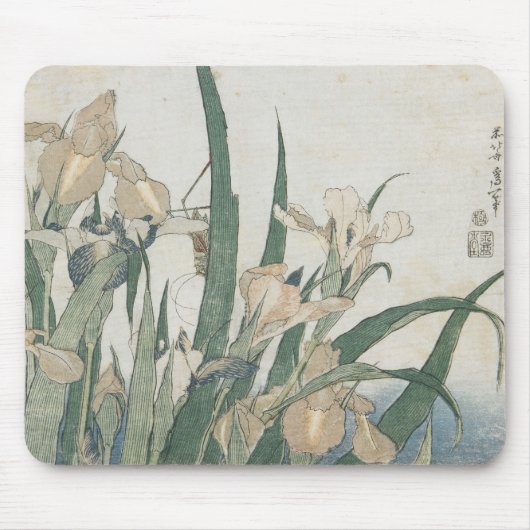 Iris Flowers and Grasshopper, c.1830-31 Muismat (Voorkant)