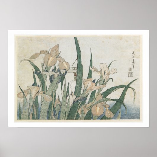 Iris Flowers and Grasshopper, c.1830-31 Poster (Voorkant)
