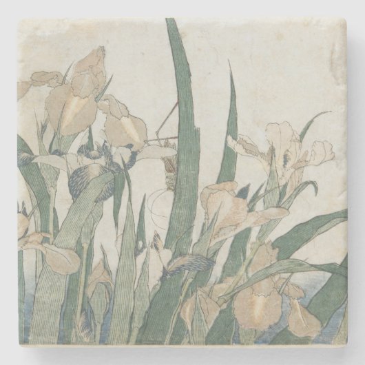 Iris Flowers and Grasshopper, c.1830-31 Stenen Onderzetter (Voorkant)