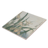 Iris Flowers and Grasshopper, c.1830-31 Tegeltje (Zijkant)