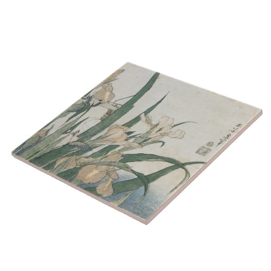 Iris Flowers and Grasshopper, c.1830-31 Tegeltje (Zijkant)