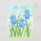 Iris Flowers Briefkaarten (Voorkant)