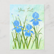 Iris Flowers Briefkaarten